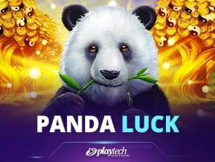 Panda Luck icon